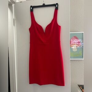 Express Bodycon dress